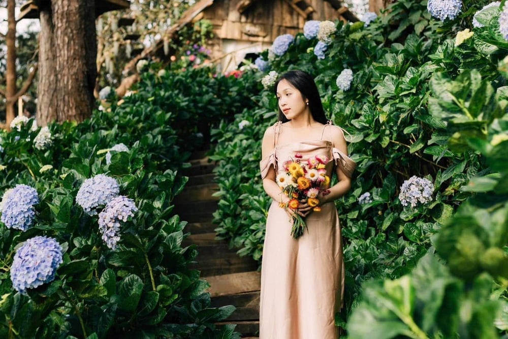 Khoảnh khắc bạn hòa mình vào thiên nhiên giữa những đóa cẩm tú cầu bung nở tạo nên bức tranh thơ mộng